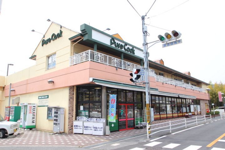 広島県広島市西区己斐大迫2(一戸建)の賃貸物件の周辺
