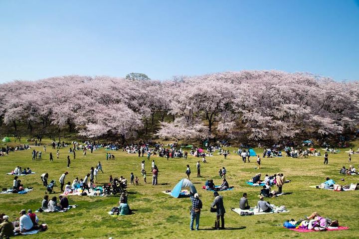 神奈川県横浜市中区竹之丸(アパート)の賃貸物件の周辺