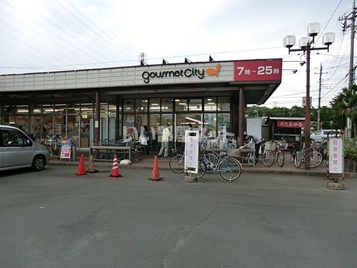 東京都国分寺市並木町3(一戸建)の賃貸物件の周辺