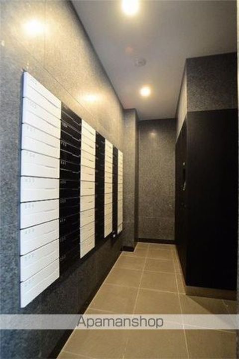 東京都台東区松が谷3(マンション)の賃貸物件の内装