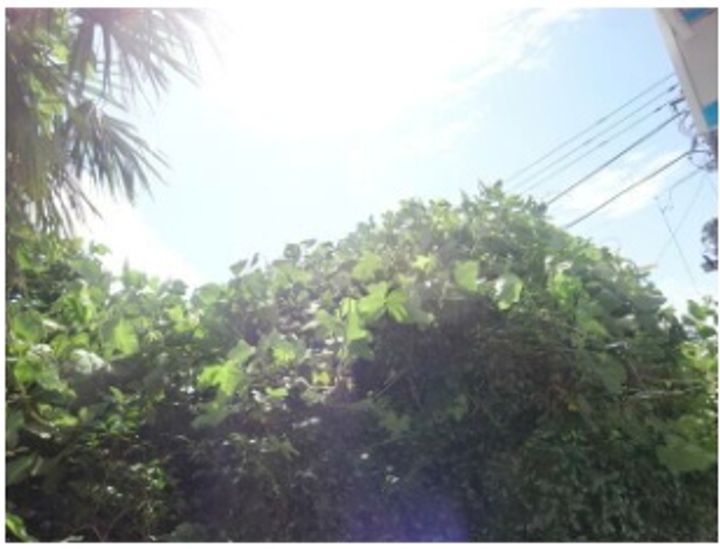 神奈川県横浜市保土ヶ谷区霞台(アパート)の賃貸物件のその他画像