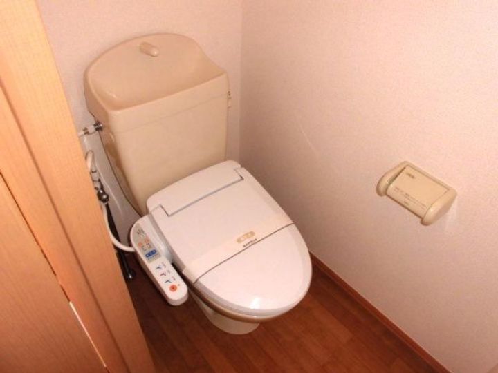 埼玉県熊谷市妻沼(アパート)の賃貸物件の内装