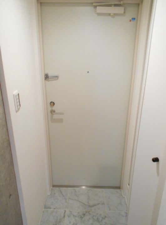 東京都練馬区中村南3(マンション)の賃貸物件の玄関
