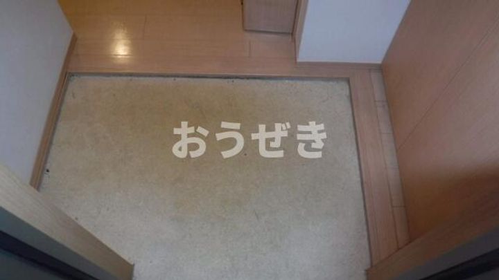 ドルフのその他画像