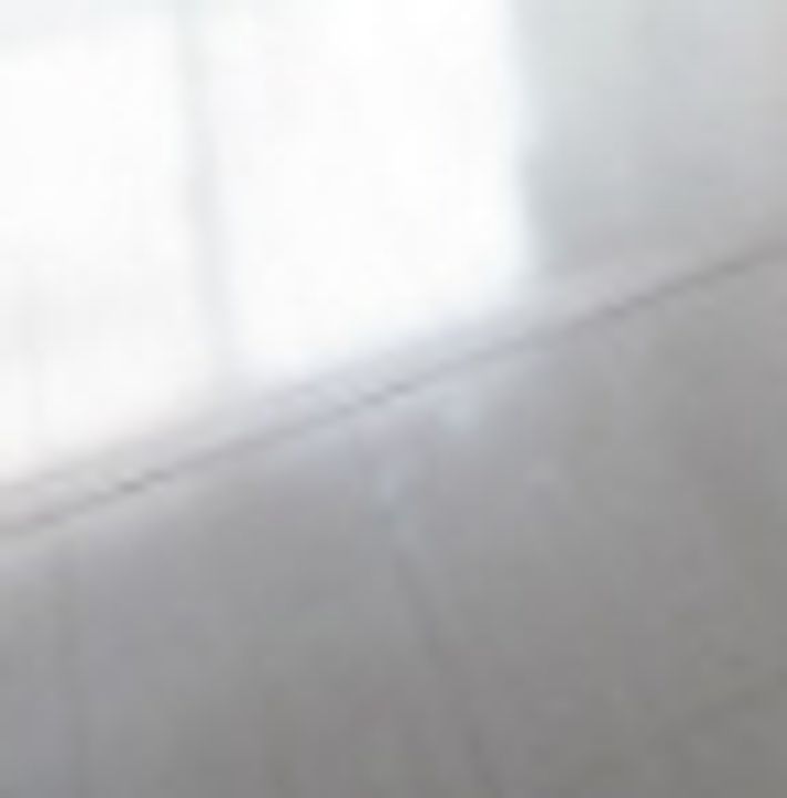 東京都江東区千田(マンション)の賃貸物件の内装