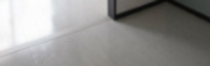 東京都江東区千田(マンション)の賃貸物件の居間