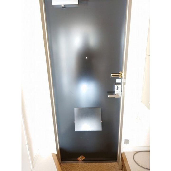 サンパレス西下台の玄関