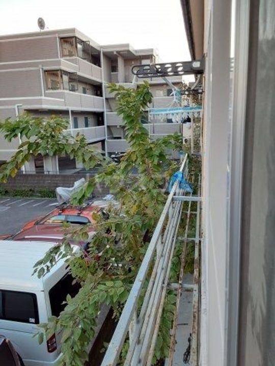 白河荘のその他画像