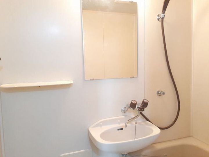 栃木県宇都宮市御幸ケ原町(アパート)の賃貸物件の内装