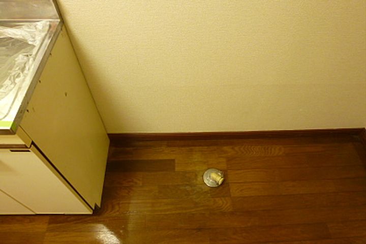 東京都府中市美好町3(アパート)の賃貸物件の内装
