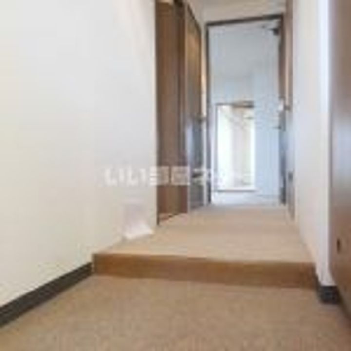 和歌山県和歌山市野崎(マンション)の賃貸物件の玄関