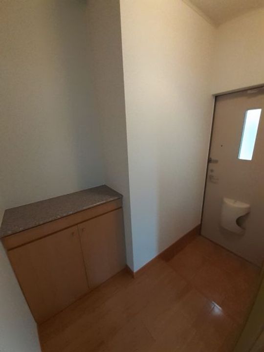 群馬県高崎市上佐野町(アパート)の賃貸物件の玄関