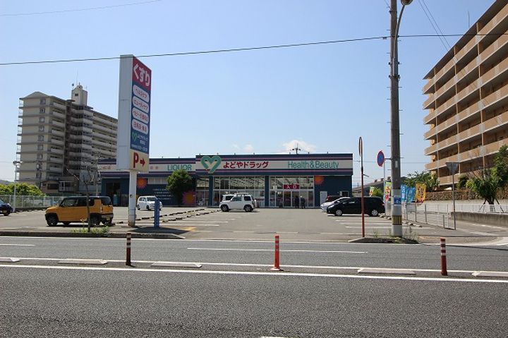 高知県高知市青柳町(マンション)の賃貸物件の周辺