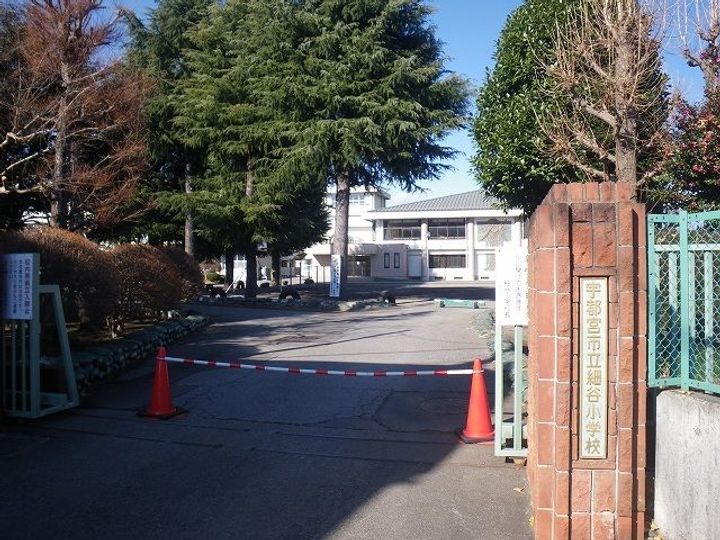 栃木県宇都宮市若草3(マンション)の賃貸物件の周辺