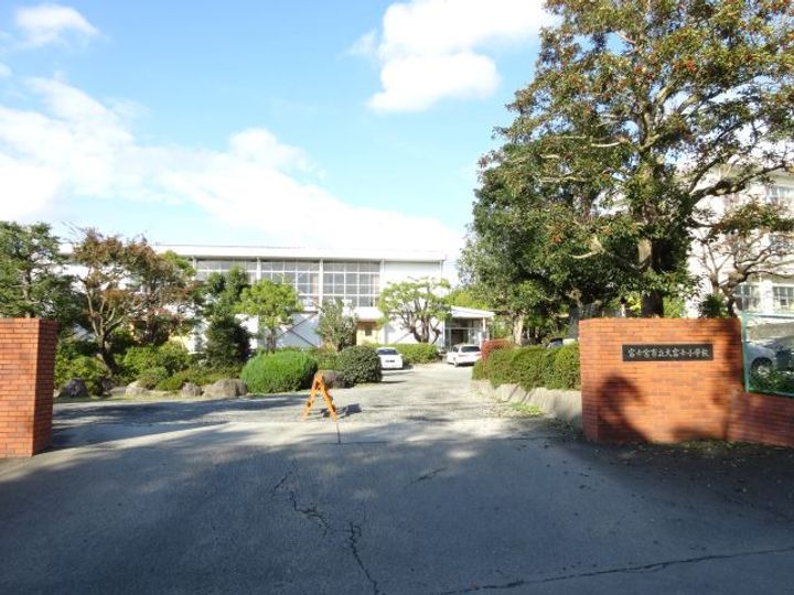 サンフラワー97の周辺