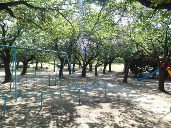 archetype MAIHAMA(アーキタイプマイハマ)の周辺