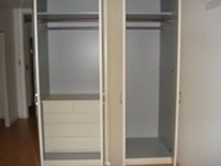 サイネリア丸美の内装
