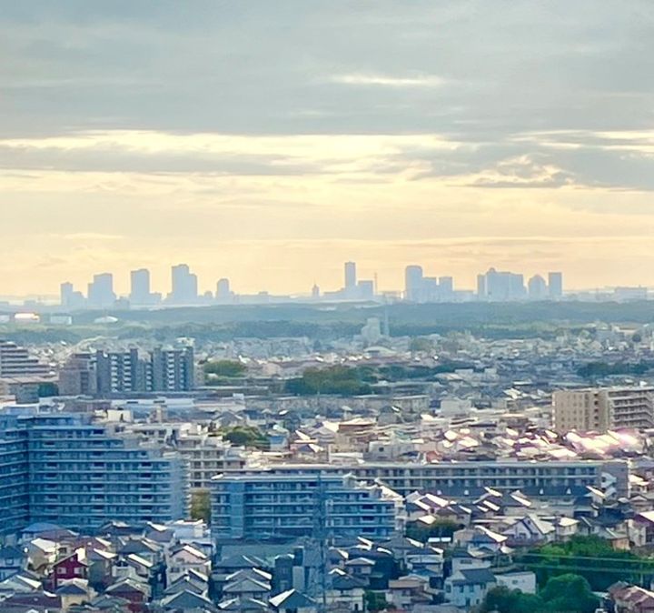 スカイプラザ・ユーカリが丘ウエストタワーのその他画像