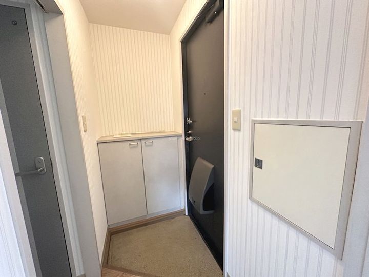 神奈川県南足柄市塚原(アパート)の賃貸物件の玄関