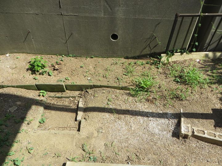 埼玉県川口市大字木曽呂(一戸建)の賃貸物件の内装