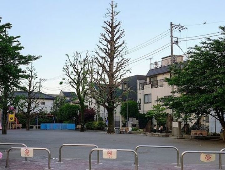 クレール中野の周辺