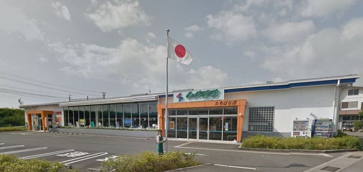 神奈川県小田原市中村原(一戸建)の賃貸物件の周辺