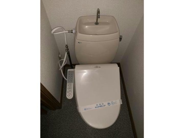 山口県岩国市平田1(アパート)の賃貸物件の内装