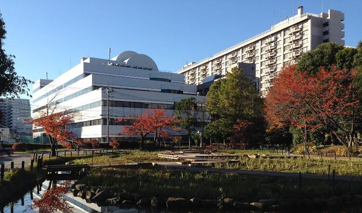 東京都江東区海辺(マンション)の賃貸物件の周辺