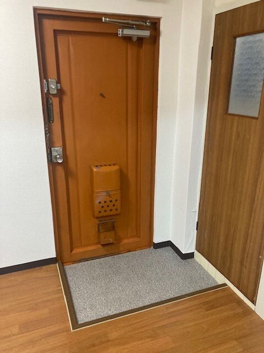 大阪府大阪市東淀川区豊新1(マンション)の賃貸物件の玄関
