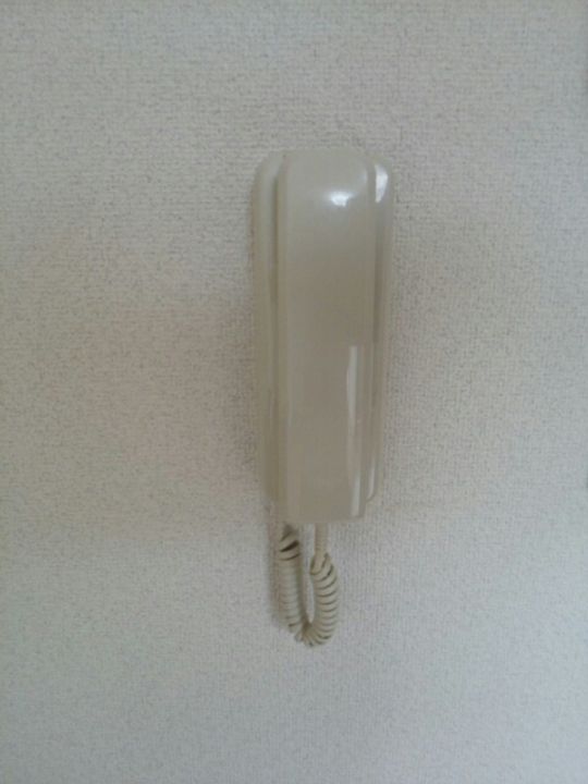 岡山県浅口市金光町大谷(マンション)の賃貸物件の内装