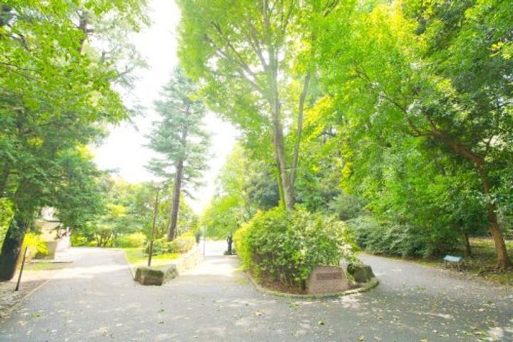ルーブル練馬弐番館の周辺