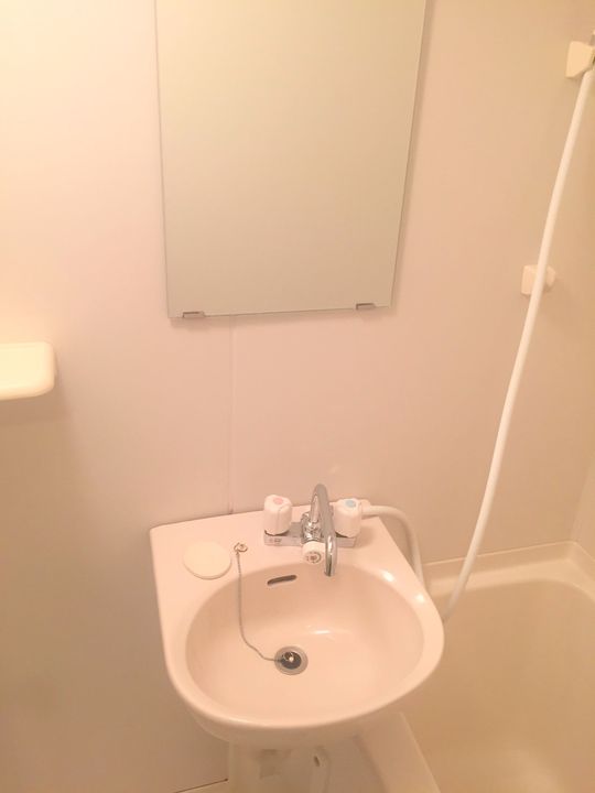 大阪府大阪市平野区平野上町1(マンション)の賃貸物件の内装