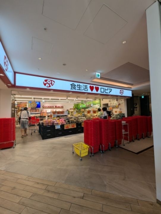 神奈川県横浜市保土ヶ谷区東川島町(一戸建)の賃貸物件の周辺