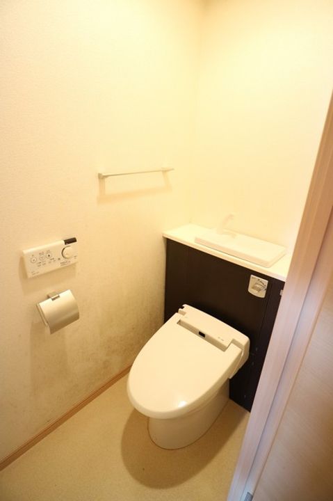 岡山県倉敷市川西町(マンション)の賃貸物件の内装