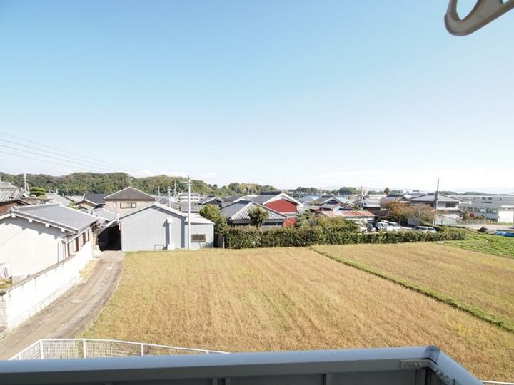 グリーンシャルマンのその他画像