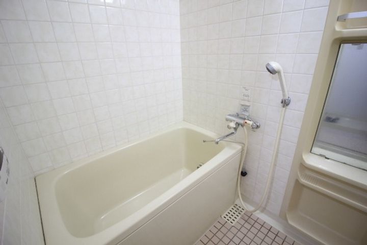 ロイヤルシャトー八乙女 908の風呂