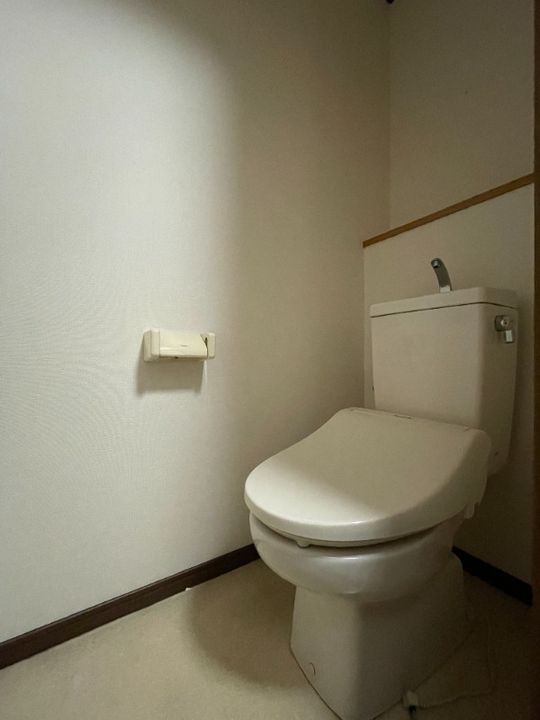 岡山県倉敷市松島(マンション)の賃貸物件の内装