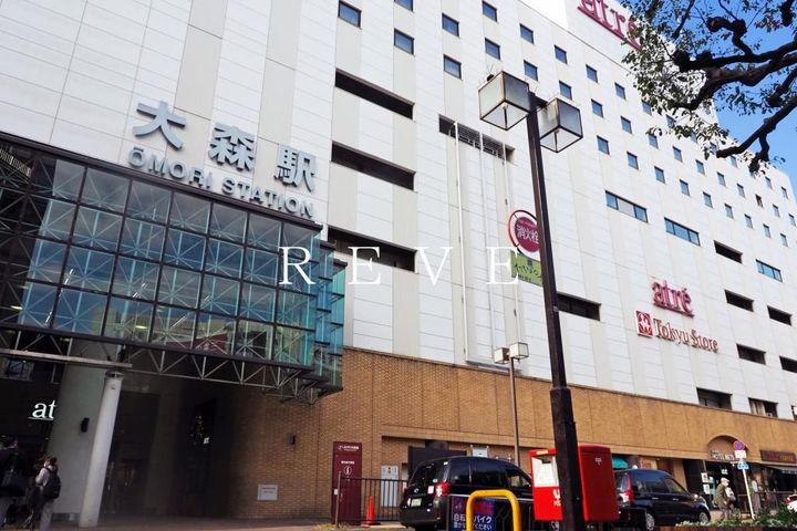 レガリス品川南大井IIの周辺