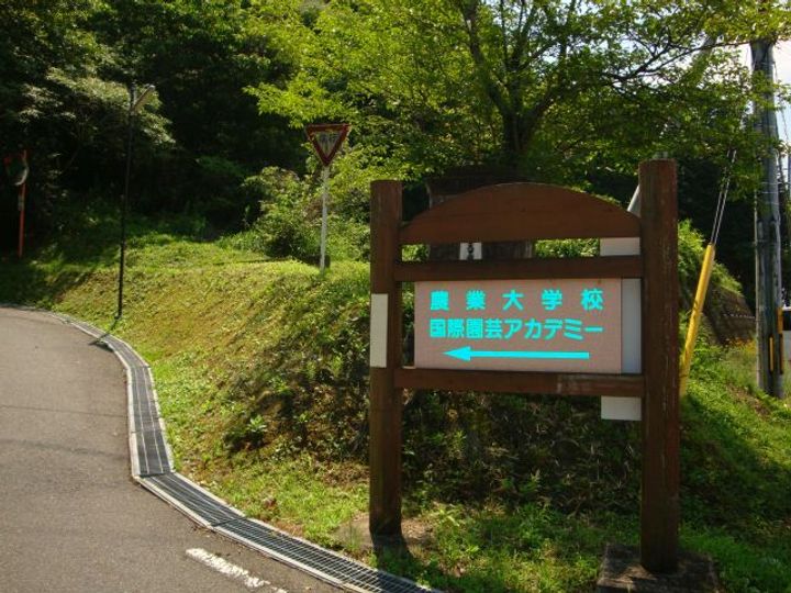 エクセランの周辺