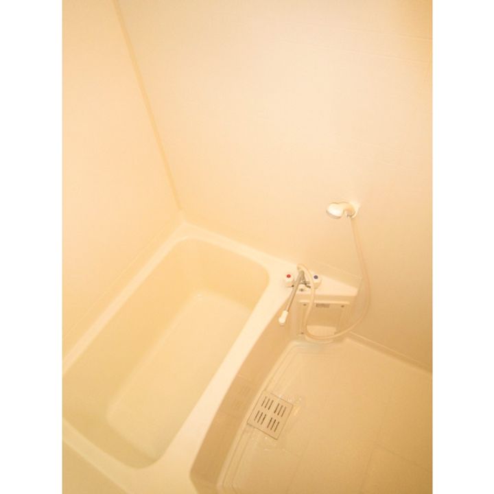 ルイス一番館の風呂