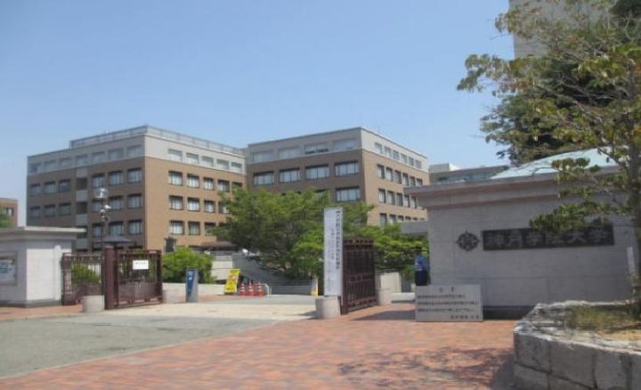 ルナパルクの周辺