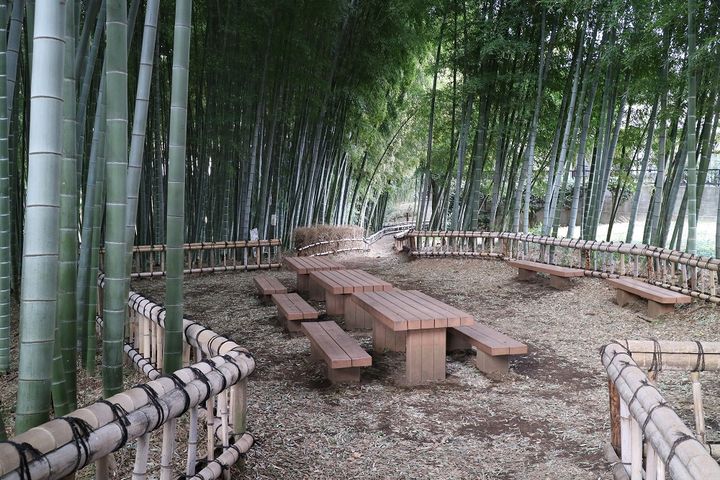 ライフ竹林の周辺