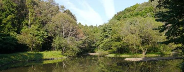 ヴェルアージュ座間の周辺