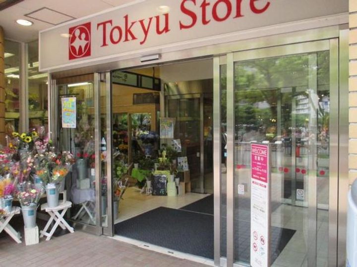 東京都大田区山王2(アパート)の賃貸物件の周辺