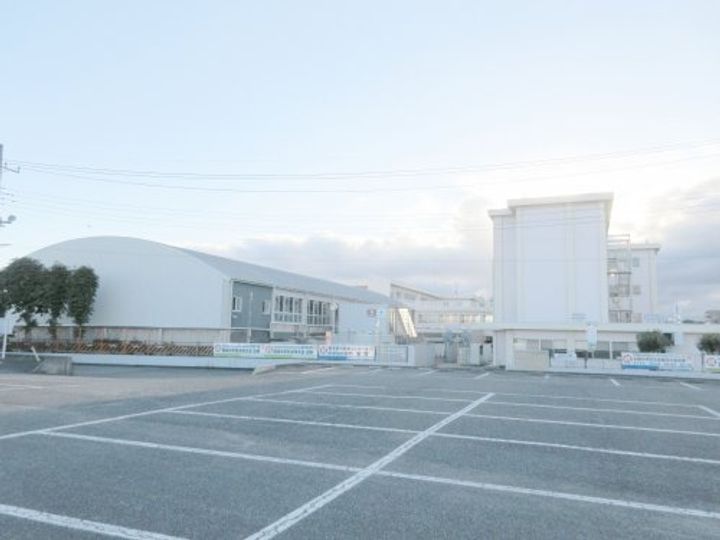 ホワイトリリーの周辺