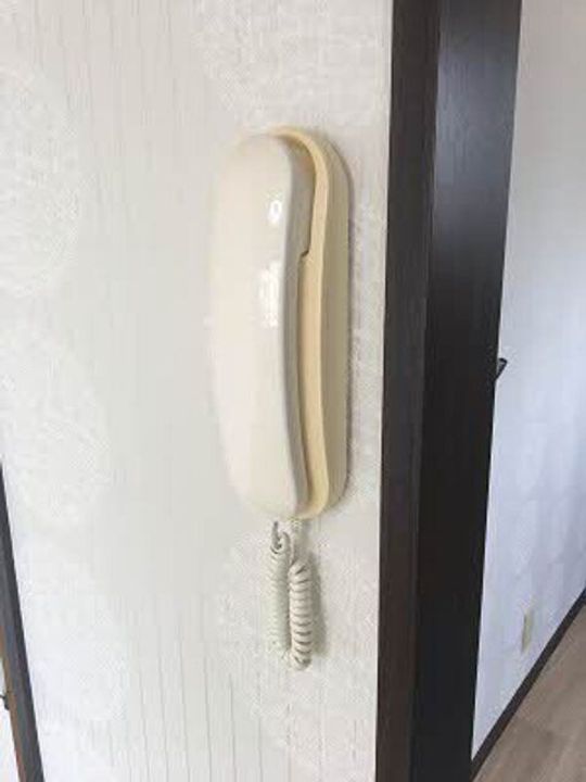 広島県広島市中区東白島町(アパート)の賃貸物件の内装