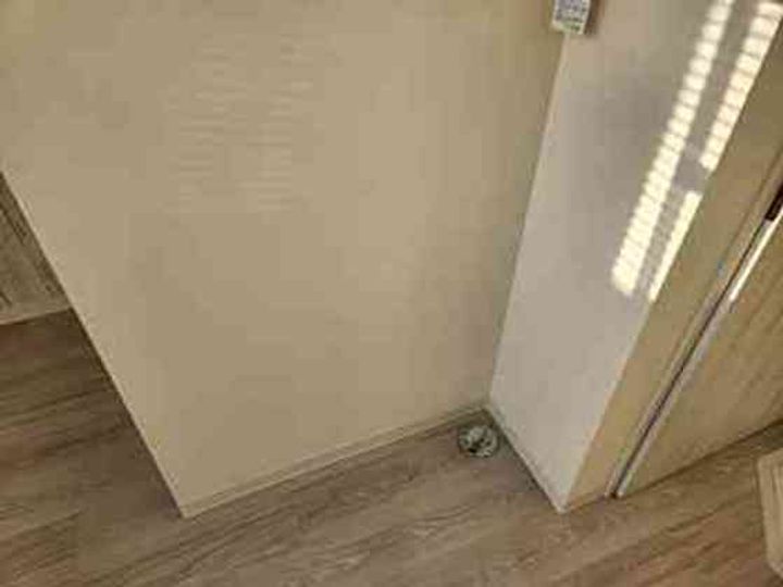 REAL BLOSSOMIIの内装