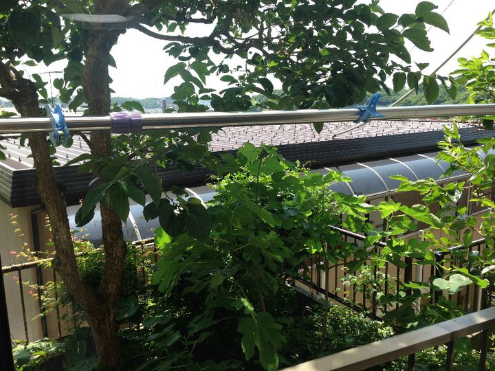 神奈川県横浜市港北区箕輪町1(アパート)の賃貸物件のその他画像