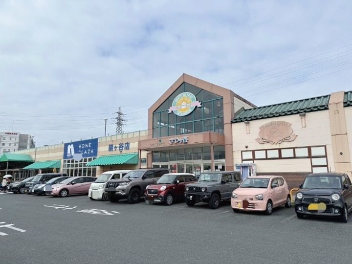 アネシス一枝C棟の周辺