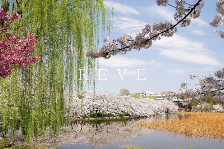 The Grand Blossomの周辺